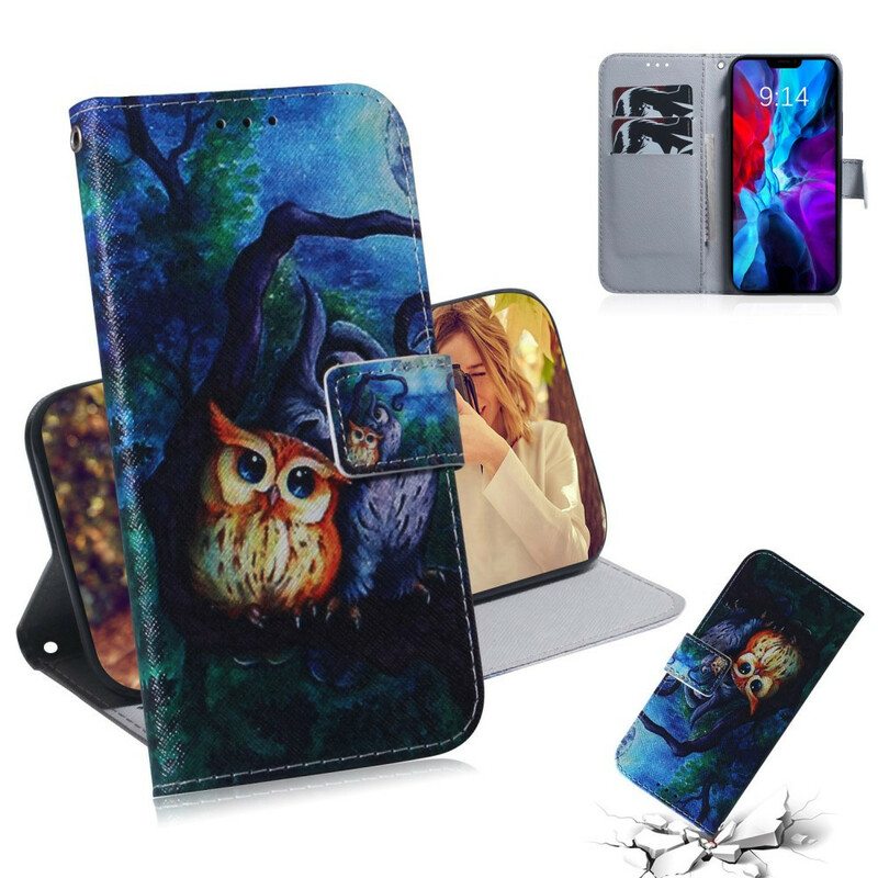 Kotelot iPhone 13 Mini Pöllöjen Maalaus